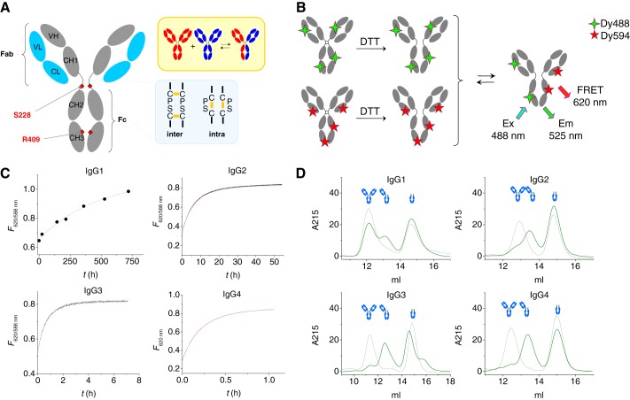 FIGURE 1.