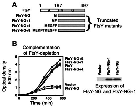 FIG. 1.