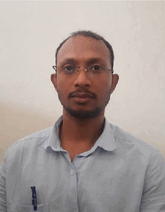 graphic file with name GCH2-9-2400294-g005.gif