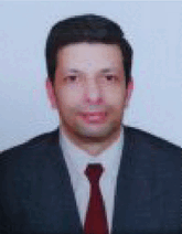 graphic file with name GCH2-9-2400294-g010.gif