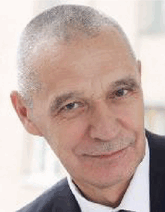 graphic file with name GCH2-9-2400294-g012.gif