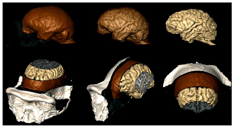 FIGURE 3