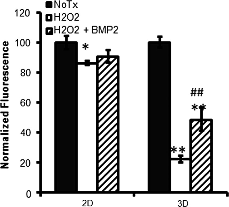 FIG. 11.