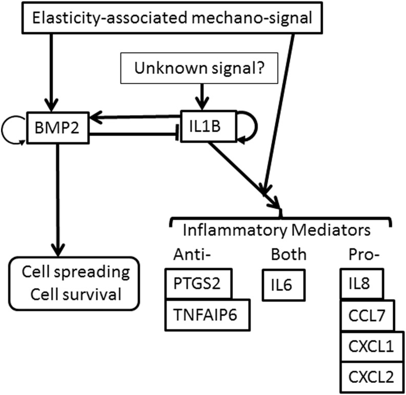 FIG. 13.