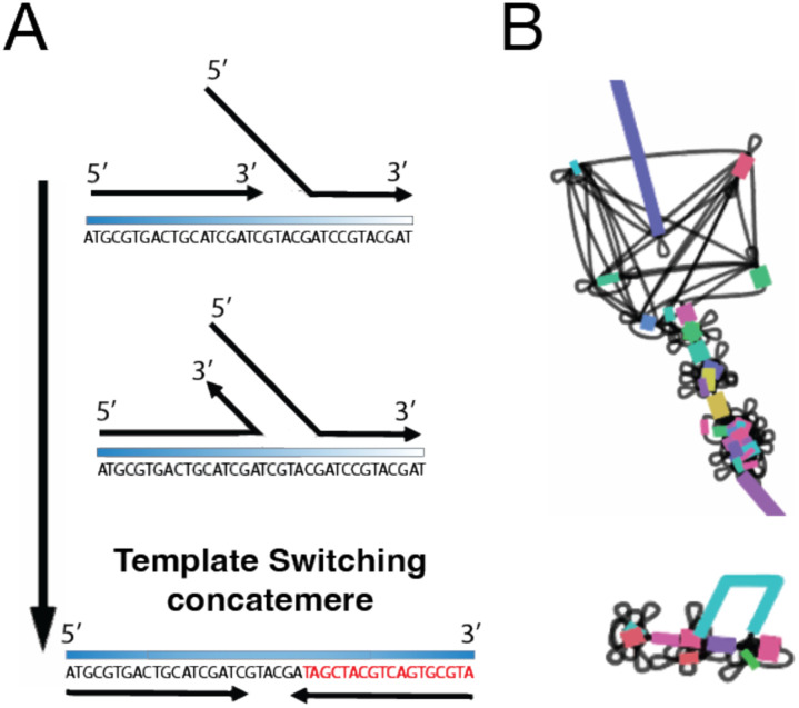 Figure 3.