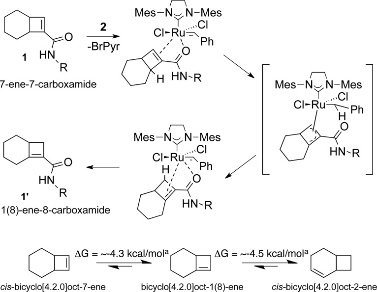 Scheme 2