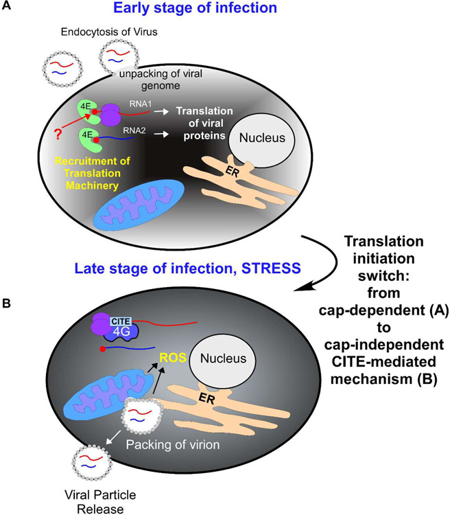 Figure 2: