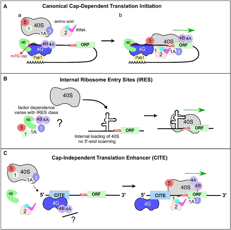 Figure 1: