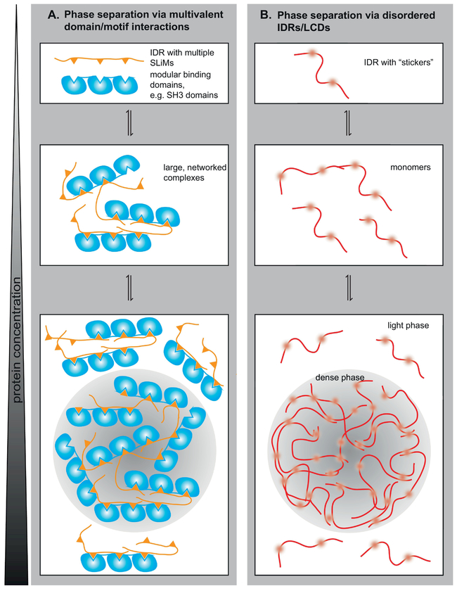 FIGURE 3: