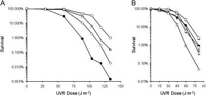 Figure 5.—