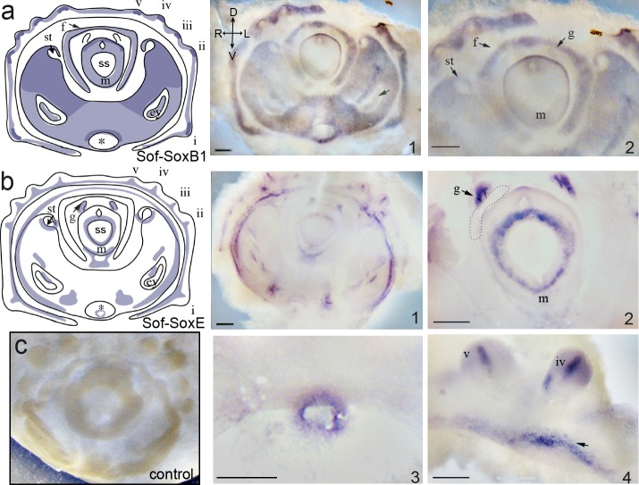 Fig 4