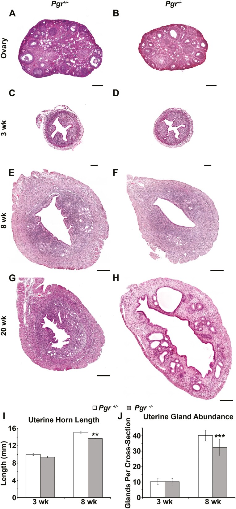 Figure 9.