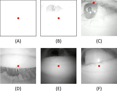 FIGURE 2.