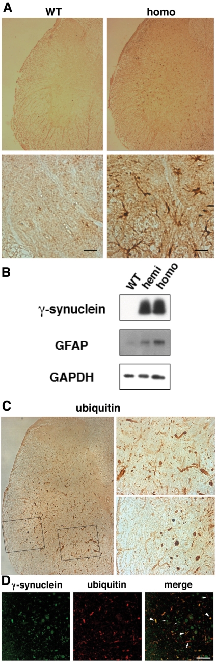 Figure 6.