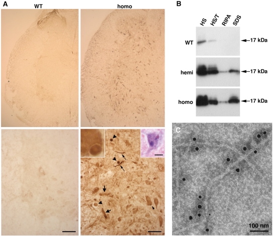 Figure 4.