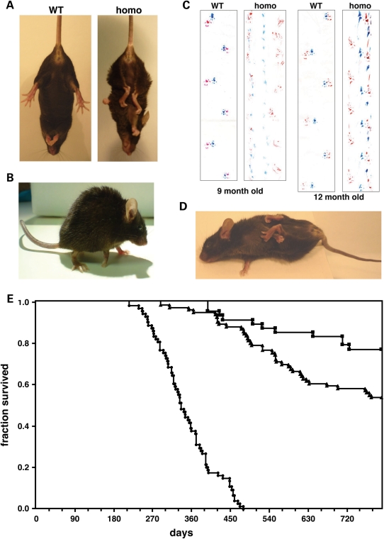 Figure 2.