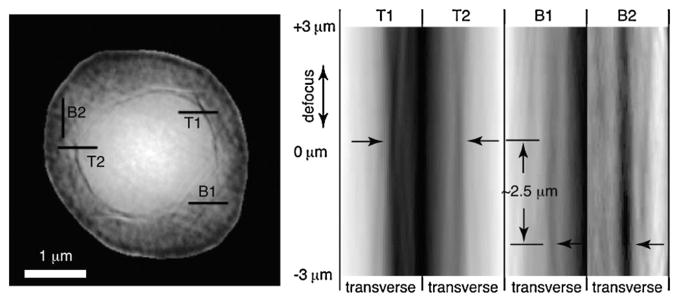 FIG. 3