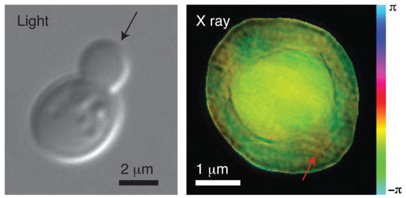 FIG. 2