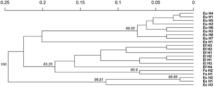 FIGURE 4