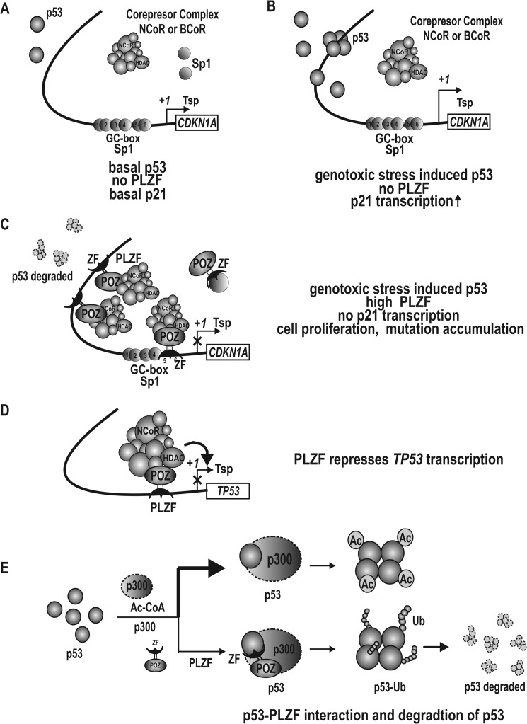 FIGURE 11.