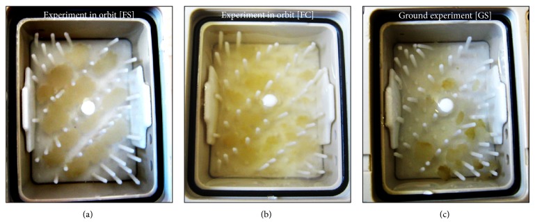 Figure 7