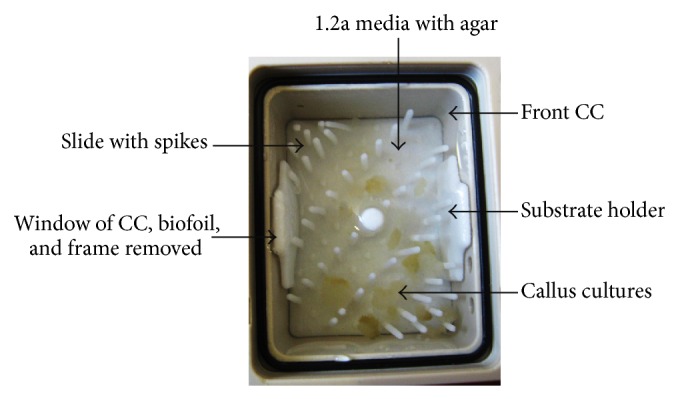 Figure 2