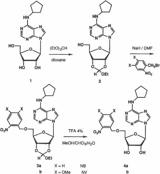 SCHEME 1