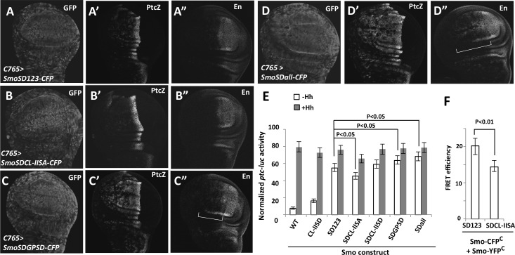 Fig 6