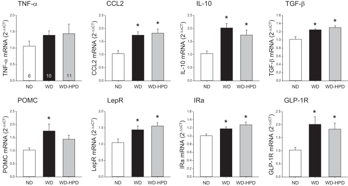 Fig. 9.