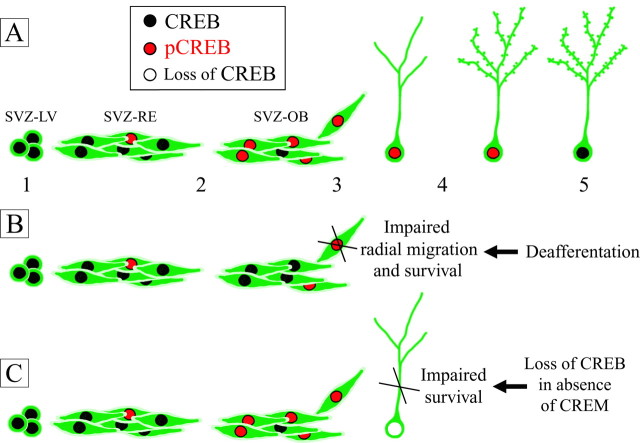 
Figure 10.
