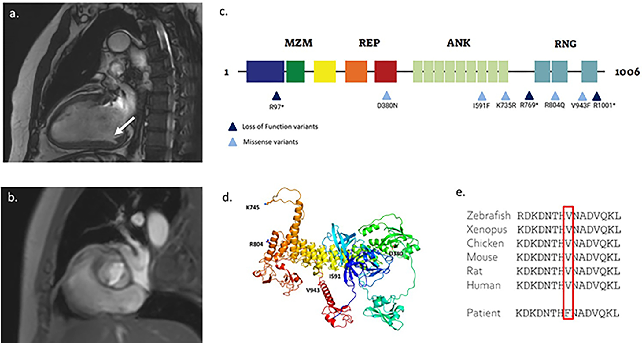 Figure 1: