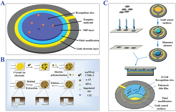 Figure 24