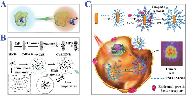 Figure 12