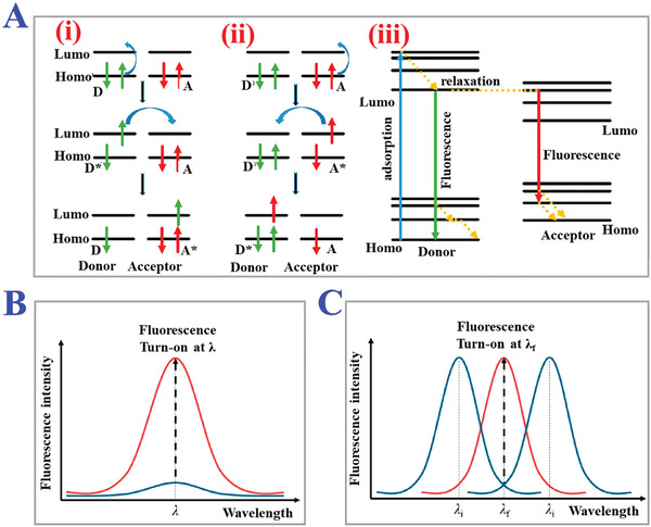 Figure 20