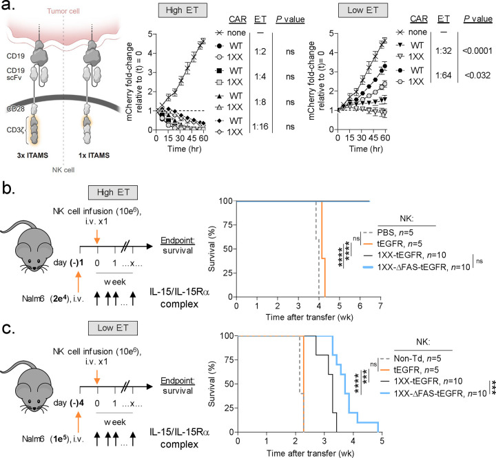 Fig. 6: