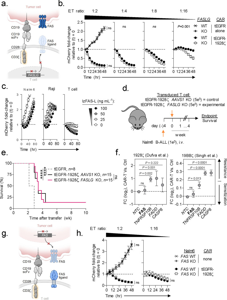 Fig. 4: