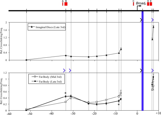 Figure 10.