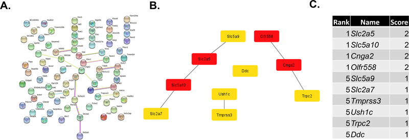 Fig. 9.