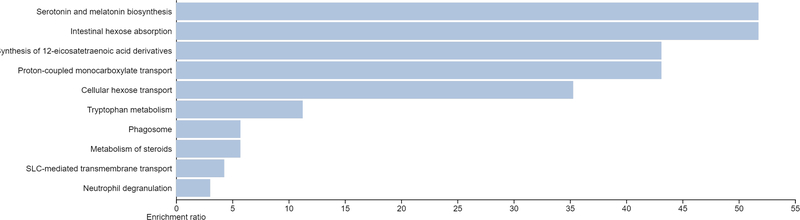 Fig. 10.