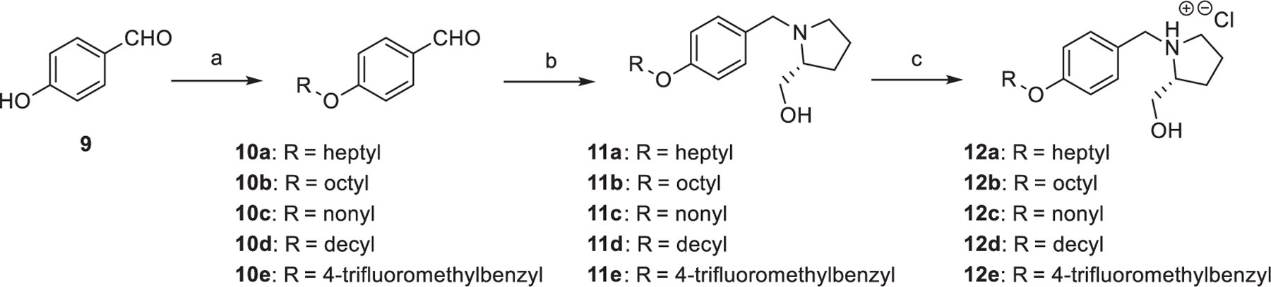 Scheme 1.