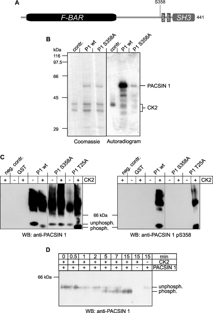 FIGURE 1.