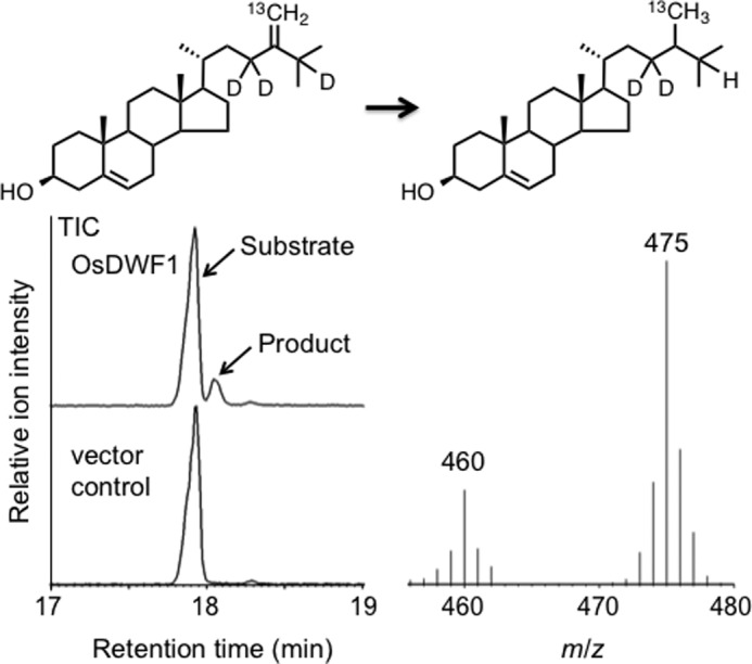 FIGURE 11.