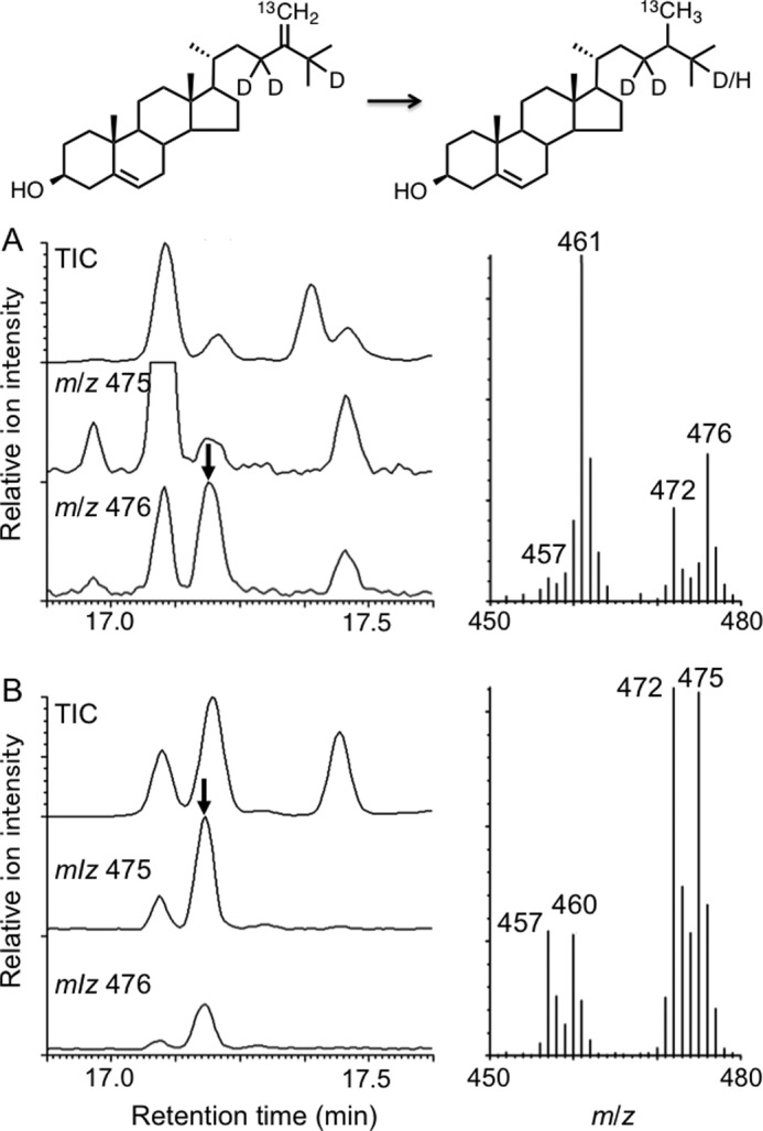 FIGURE 7.