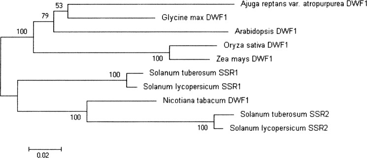 FIGURE 3.