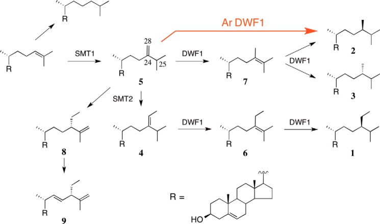 FIGURE 1.