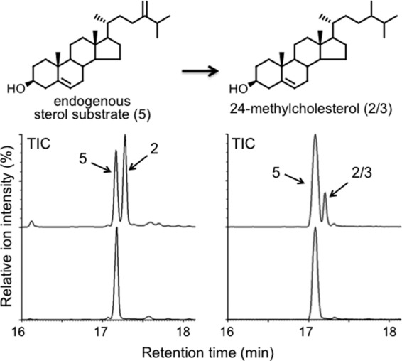 FIGURE 4.