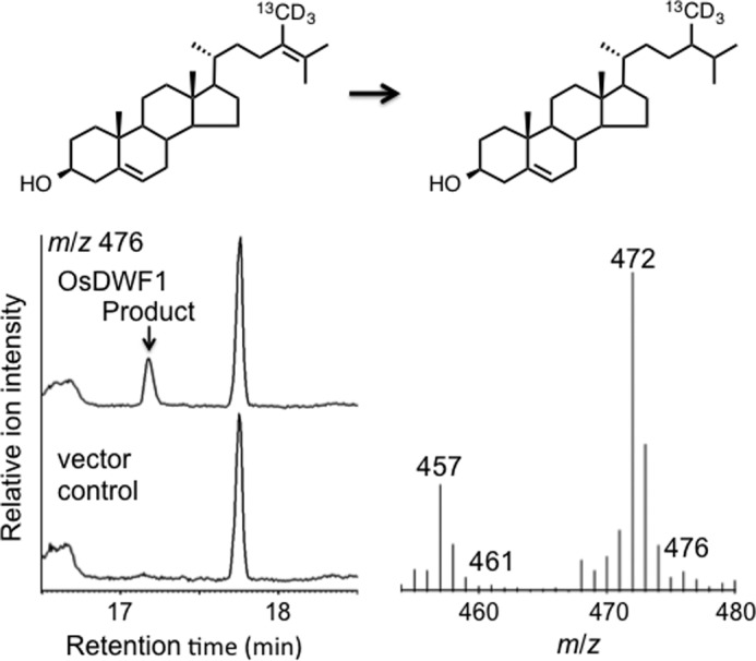 FIGURE 10.