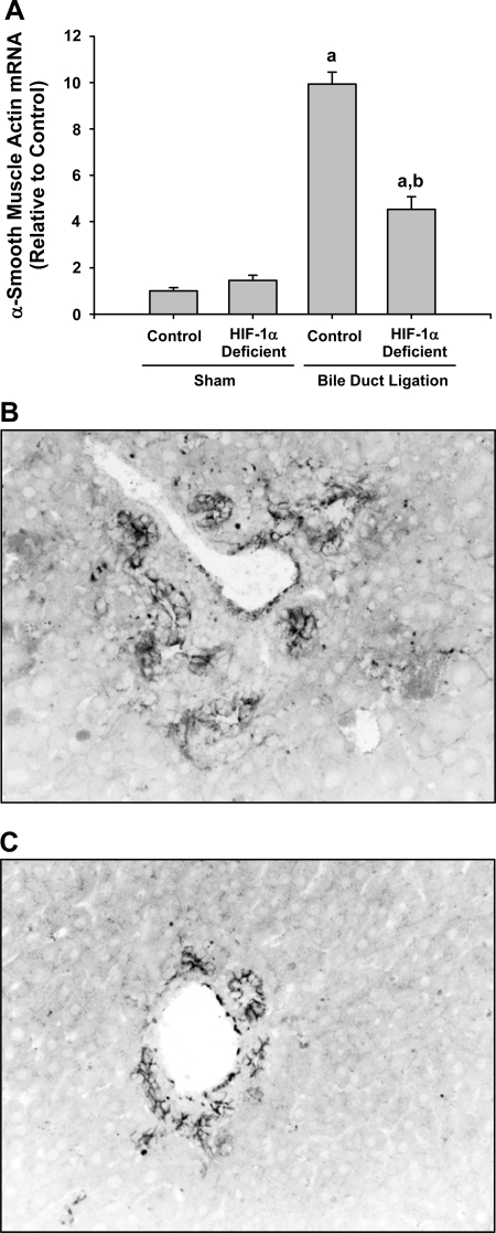 Fig. 11.