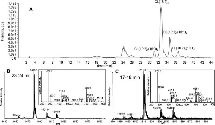 Fig. 8.