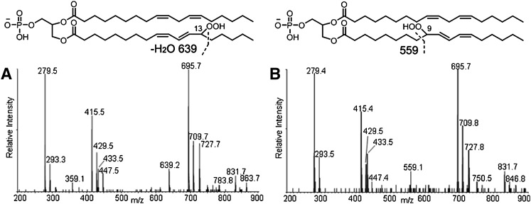 Fig. 3.